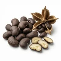 Ambrette Seeds