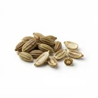 Anise