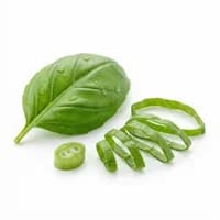Basil
