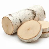 Birch