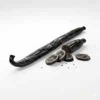 Black Vanilla Husk