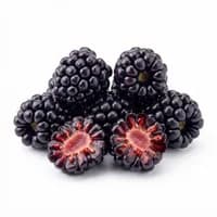 Blackberry