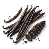 Bourbon Vanilla
