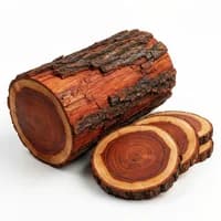 Brazilwood