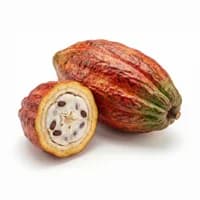 Cacao Pod