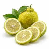 Calabrian Bergamot