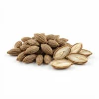 Carrot Seeds