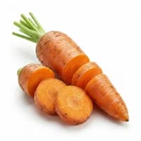 Carrot