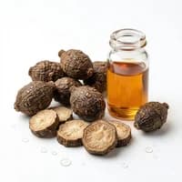 Cypriol Oil