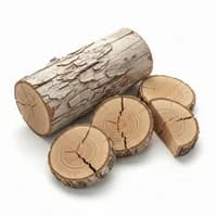 Dried Wood