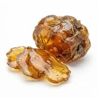 Fir Resin
