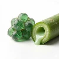 Green Sap