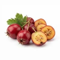 Hawthorn