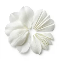 Jasmine Petals