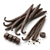 Madagascar Vanilla