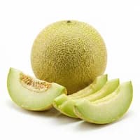 Melon