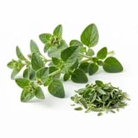 Oregano