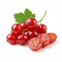 Red Currant