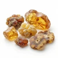 Resins
