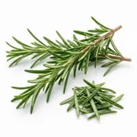 Rosemary