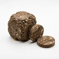 Soil Tincture