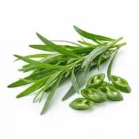 Tarragon