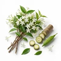 Water Jasmine