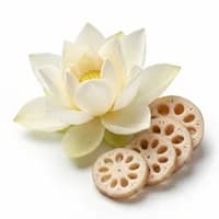 White Lotus