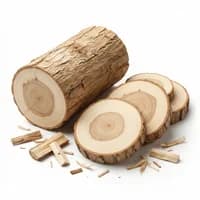 White Sandalwood