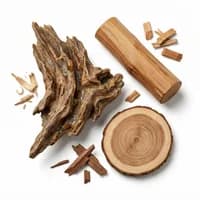 Woody Notes