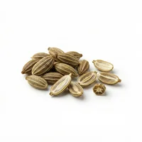 Anise