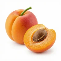 Apricot