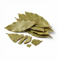 Bay Leaf