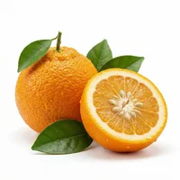 Bitter Orange