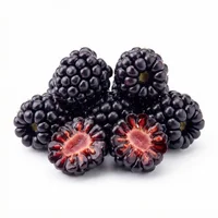Blackberry