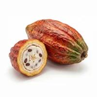 Cacao Pod
