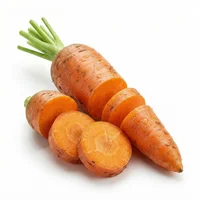 Carrot