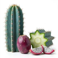 Cereus