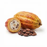 Cocoa