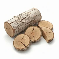 Dried Wood