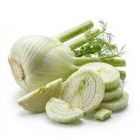 Fennel