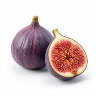 Fig