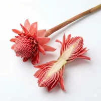 Ginger Flower