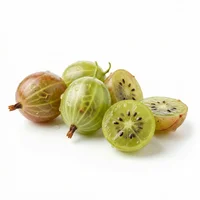 Gooseberry