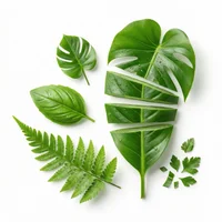 Green Leaves