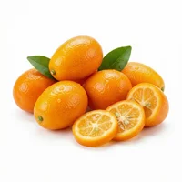 Kumquat