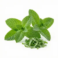 Mint