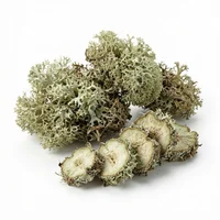 Oakmoss