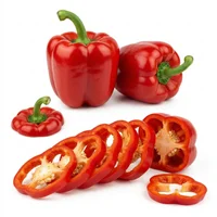 Paprika