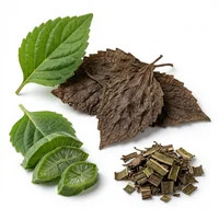 Patchouli Leaf